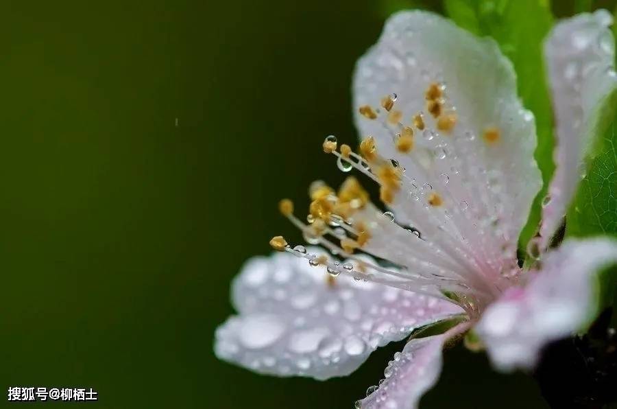 【高考备考】每天5道题，考试不丢分——理解性默写天天练 · 第201——329 题
